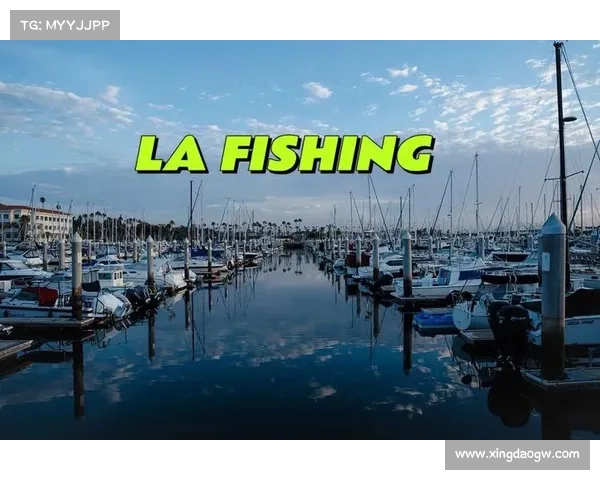 钓鱼攻击危及洛杉矶县卫生服务数据 媒体