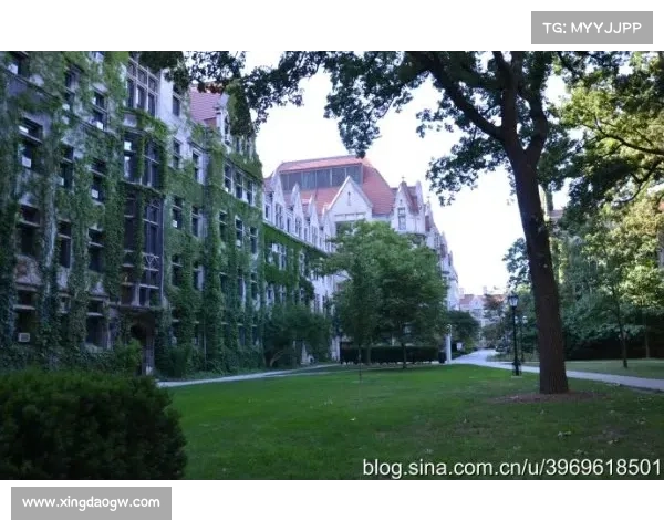 芝加哥医院，伊利诺伊州村庄受到网络攻击影响 媒体